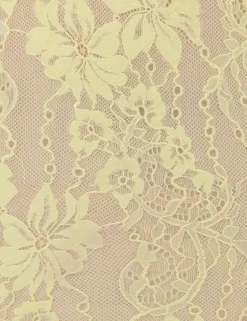 Discount ZIMMERMANN Scoop Neck Bodysuit